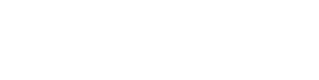 ProAdvisorCoach Logo – Large Reversed